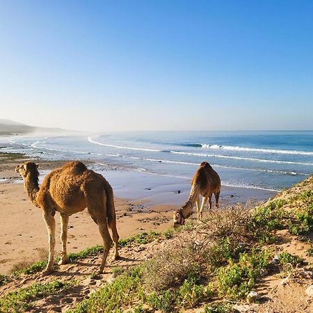 Casa Janoub Morocco Otel Tamraght Dış mekan fotoğraf