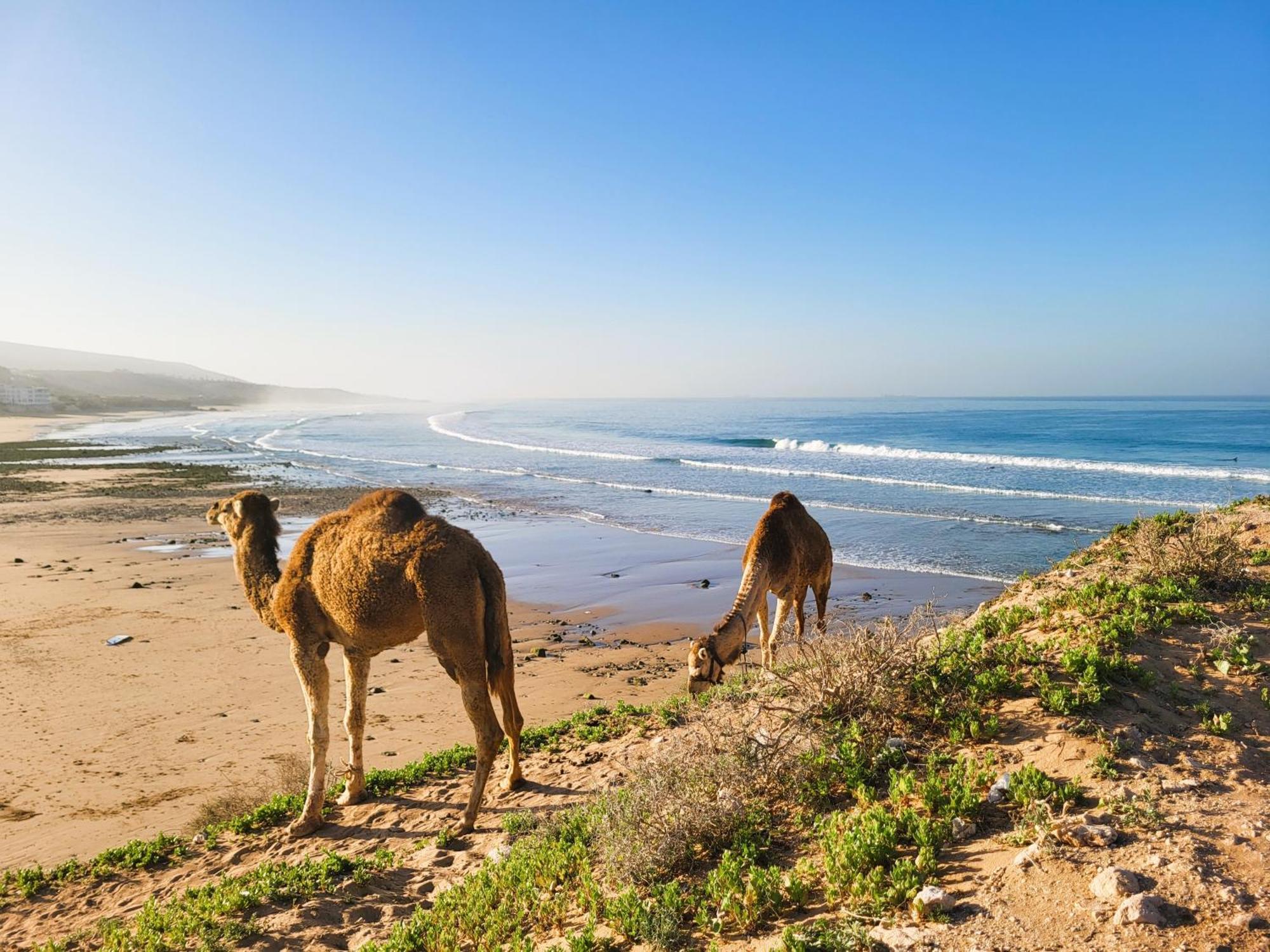 Casa Janoub Morocco Otel Tamraght Dış mekan fotoğraf